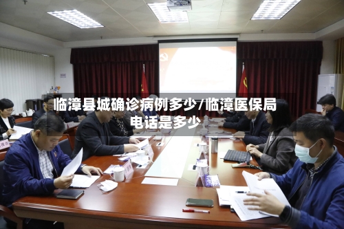 临漳县城确诊病例多少/临漳医保局电话是多少