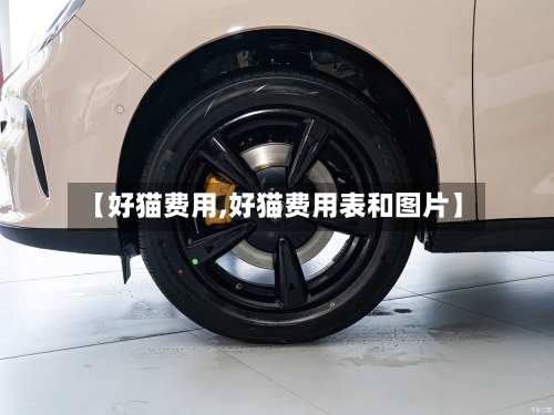 【好猫费用,好猫费用表和图片】