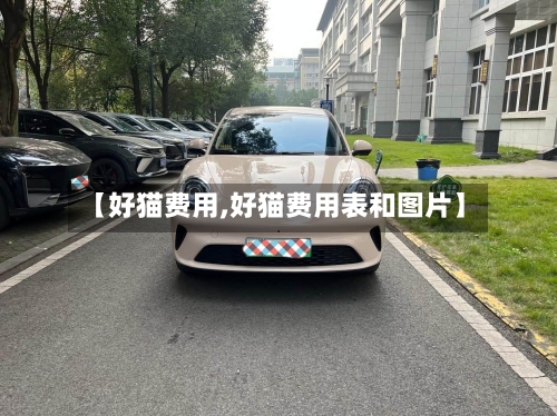 【好猫费用,好猫费用表和图片】-第2张图片