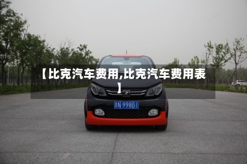 【比克汽车费用,比克汽车费用表】-第2张图片