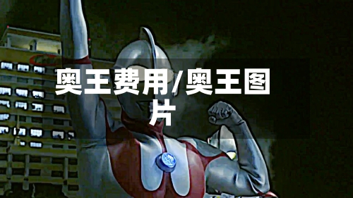 奥王费用/奥王图片-第2张图片