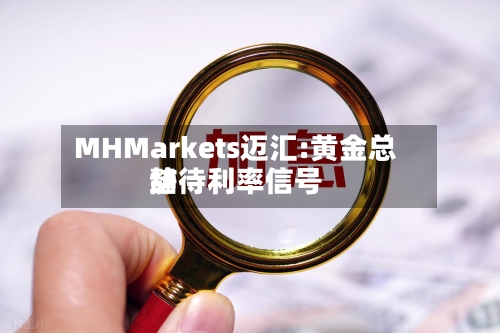 MHMarkets迈汇:黄金总结
静待利率信号-第3张图片