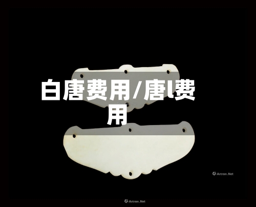 白唐费用/唐l费用-第3张图片