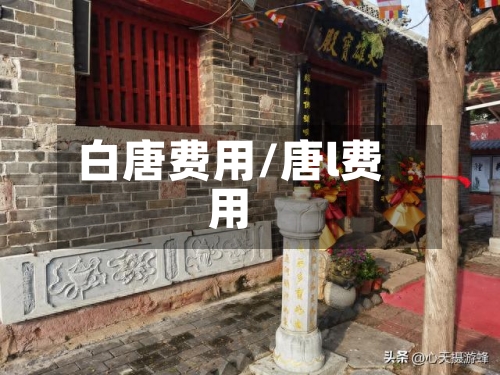 白唐费用/唐l费用