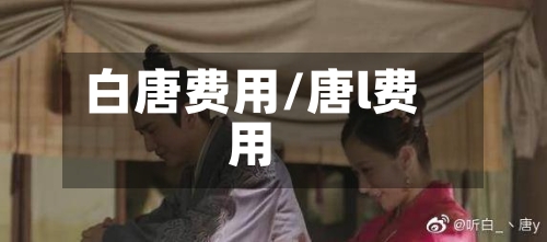 白唐费用/唐l费用-第2张图片