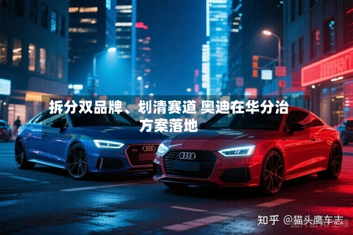 拆分双品牌、划清赛道 奥迪在华分治方案落地-第2张图片