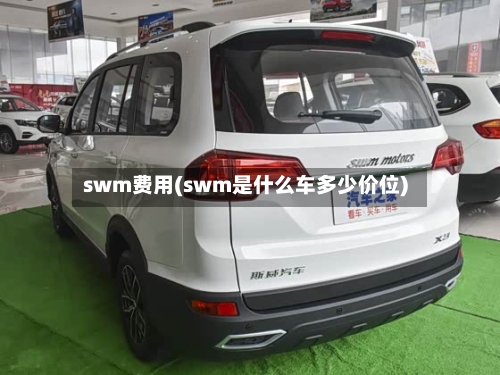 swm费用(swm是什么车多少价位)