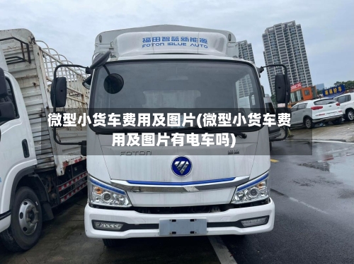 微型小货车费用及图片(微型小货车费用及图片有电车吗)