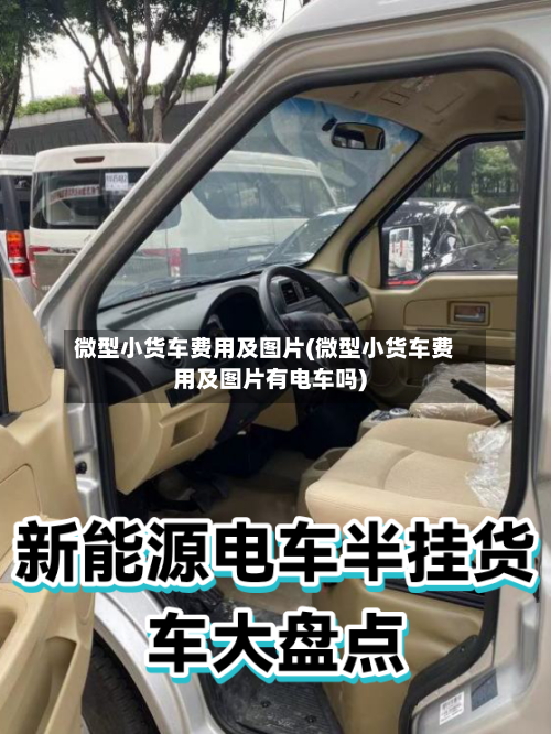 微型小货车费用及图片(微型小货车费用及图片有电车吗)-第2张图片