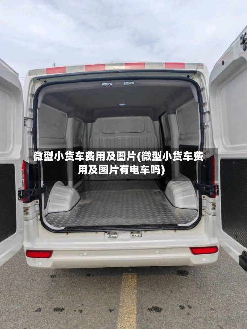微型小货车费用及图片(微型小货车费用及图片有电车吗)-第3张图片