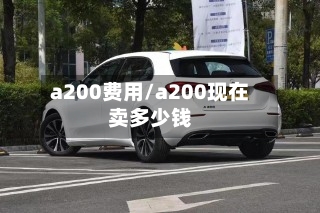 a200费用/a200现在卖多少钱-第3张图片