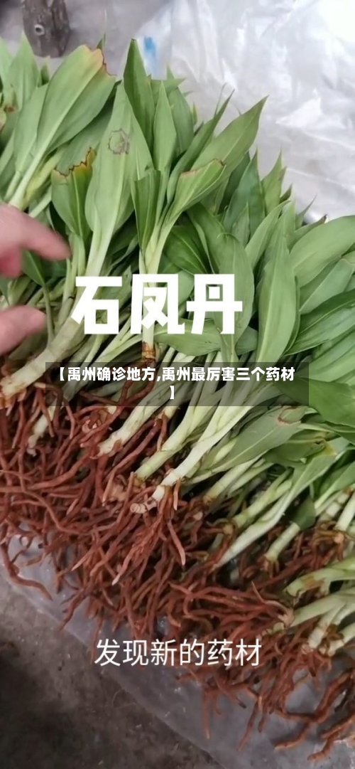 【禹州确诊地方,禹州最厉害三个药材】-第2张图片
