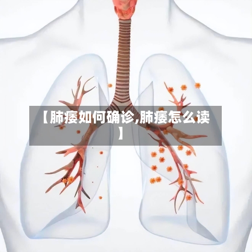 【肺痿如何确诊,肺痿怎么读】