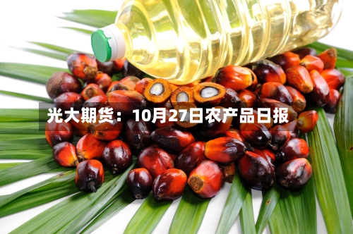 光大期货：10月27日农产品日报-第2张图片