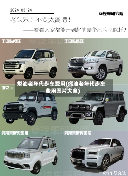 燃油老年代步车费用(燃油老年代步车费用图片大全)-第3张图片