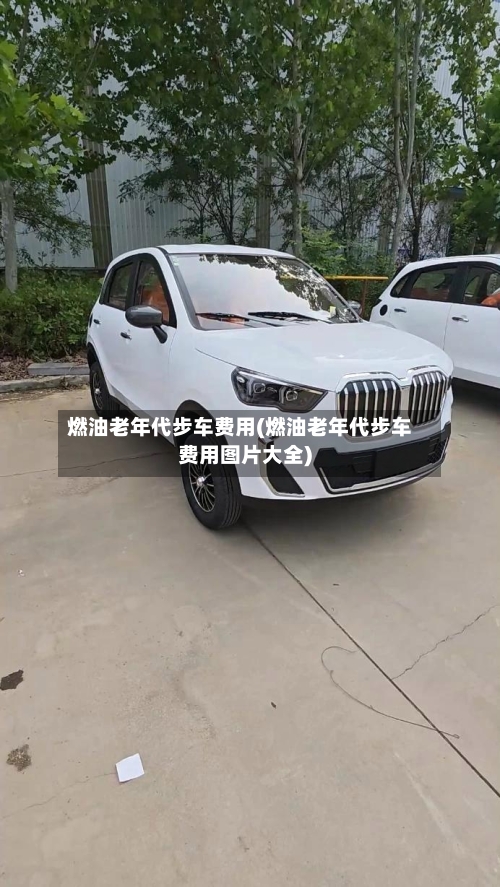 燃油老年代步车费用(燃油老年代步车费用图片大全)-第2张图片