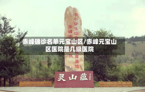 赤峰确诊名单元宝山区/赤峰元宝山区医院是几级医院-第2张图片