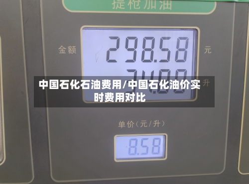 中国石化石油费用/中国石化油价实时费用对比