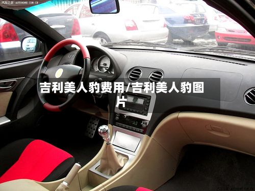 吉利美人豹费用/吉利美人豹图片-第2张图片