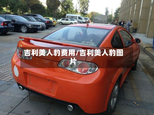 吉利美人豹费用/吉利美人豹图片