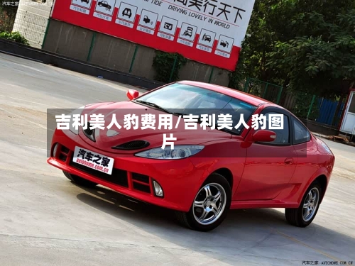 吉利美人豹费用/吉利美人豹图片-第3张图片