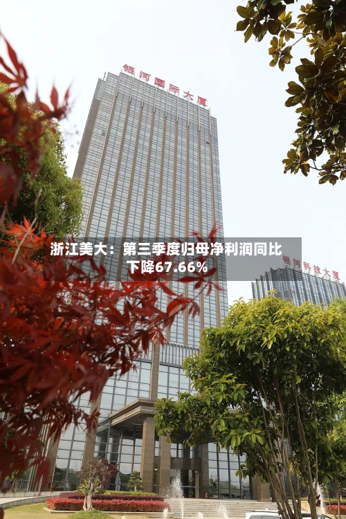 浙江美大:第三季度归母净利润同比下降67.66%-第2张图片