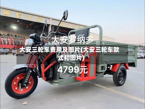 大安三轮车费用及图片(大安三轮车款式和图片)