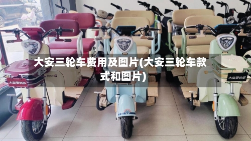 大安三轮车费用及图片(大安三轮车款式和图片)-第2张图片