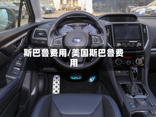 斯巴鲁费用/美国斯巴鲁费用