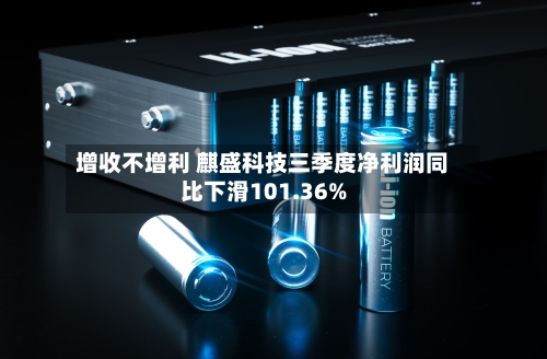增收不增利 麒盛科技三季度净利润同比下滑101.36%-第3张图片