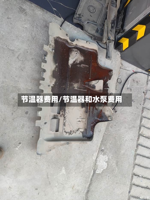 节温器费用/节温器和水泵费用