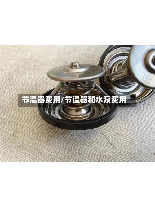 节温器费用/节温器和水泵费用-第2张图片