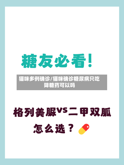 猫咪多例确诊/猫咪确诊糖尿病只吃降糖药可以吗-第2张图片