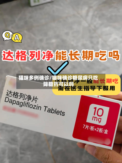 猫咪多例确诊/猫咪确诊糖尿病只吃降糖药可以吗