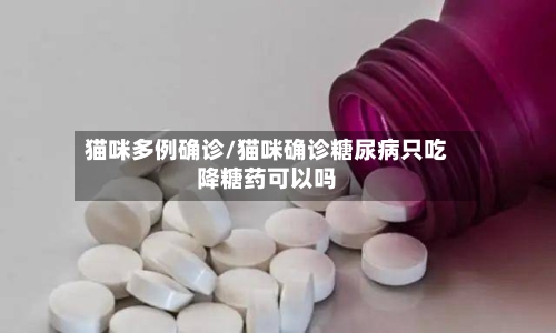 猫咪多例确诊/猫咪确诊糖尿病只吃降糖药可以吗-第3张图片