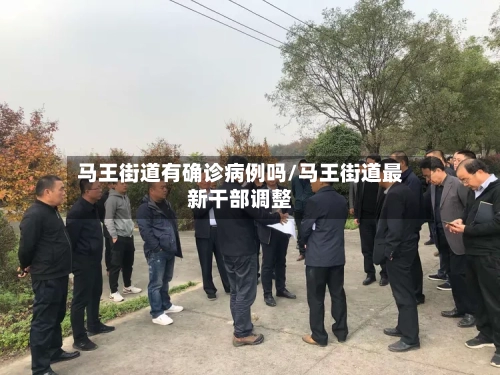 马王街道有确诊病例吗/马王街道最新干部调整-第2张图片