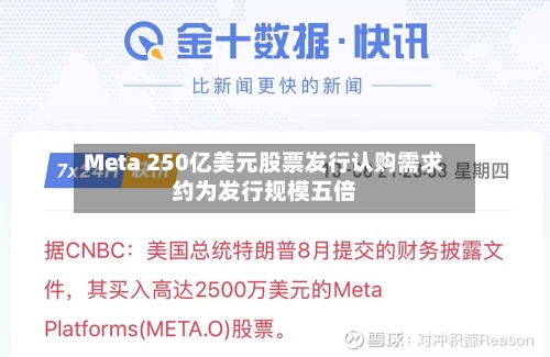 Meta 250亿美元股票发行认购需求约为发行规模五倍