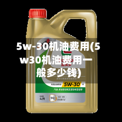 5w-30机油费用(5w30机油费用一般多少钱)-第2张图片