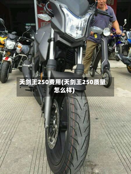 天剑王250费用(天剑王250质量怎么样)-第2张图片