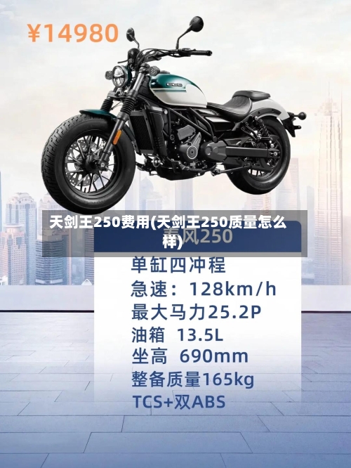 天剑王250费用(天剑王250质量怎么样)