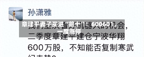章建平妻子买进“前十”！600601，一度涨停