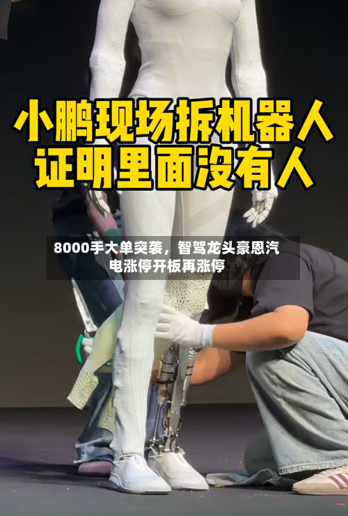 8000手大单突袭	，智驾龙头豪恩汽电涨停开板再涨停-第2张图片