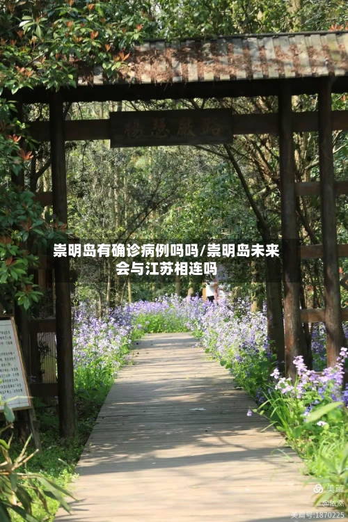 崇明岛有确诊病例吗吗/崇明岛未来会与江苏相连吗-第3张图片