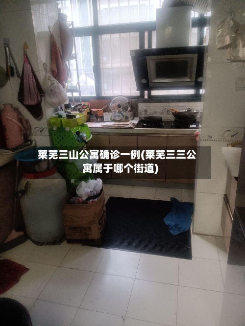 莱芜三山公寓确诊一例(莱芜三三公寓属于哪个街道)