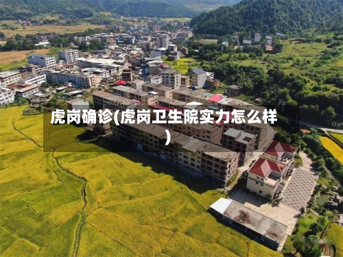 虎岗确诊(虎岗卫生院实力怎么样)