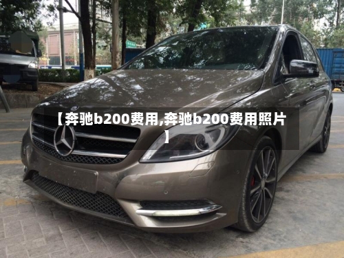 【奔驰b200费用,奔驰b200费用照片】-第2张图片