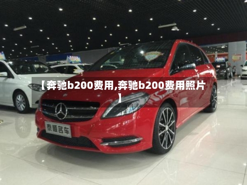 【奔驰b200费用,奔驰b200费用照片】