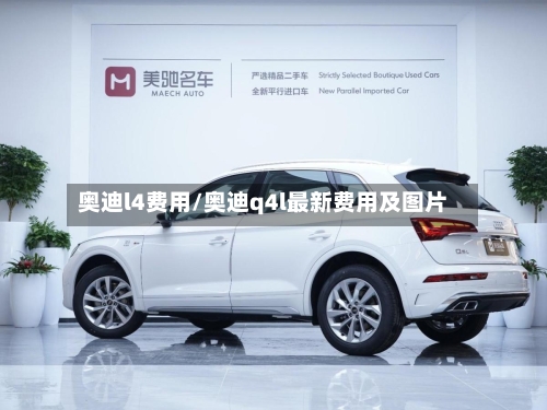 奥迪l4费用/奥迪q4l最新费用及图片-第2张图片