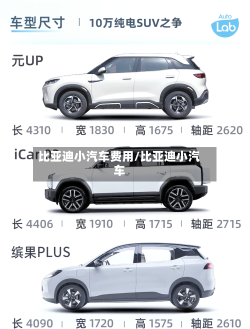 比亚迪小汽车费用/比亚迪小汽车