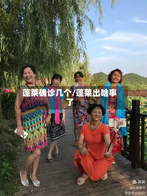 蓬莱确诊几个/蓬莱出啥事了-第2张图片